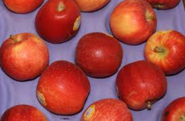 Organic Apples Gala 100ct product image